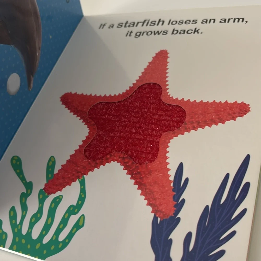 Series Books by Vision St. Publishing Adorable Animals  and Sea Animals